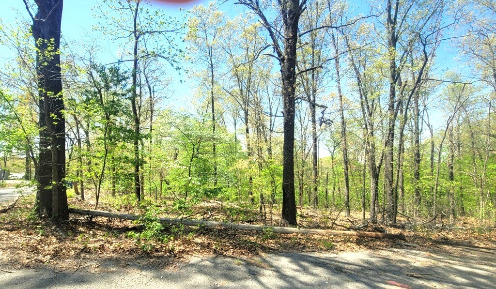 This lovely wooded lot in seems remote, but is very close to all the great things Bella Vista has to offer.  It's just 5 minutes from the Bella Vista Bypass, the Branchwood Nature Trail and the Boat ramp at Stonykirk Dr. Or you can be at two different golf courses (Highlands and Scottsdale) in under ten minutes. If you need more acreage, the adjacent lot on the corner(Lot 11) may also be purchased (see MLS #1243525).