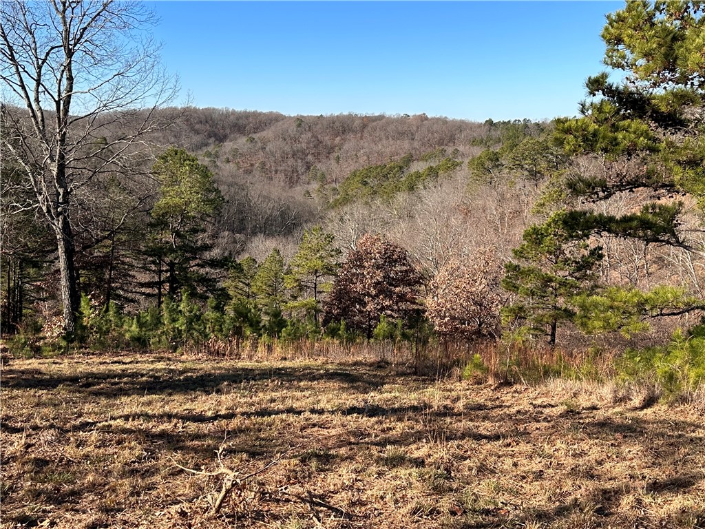 Southern Hills - Land