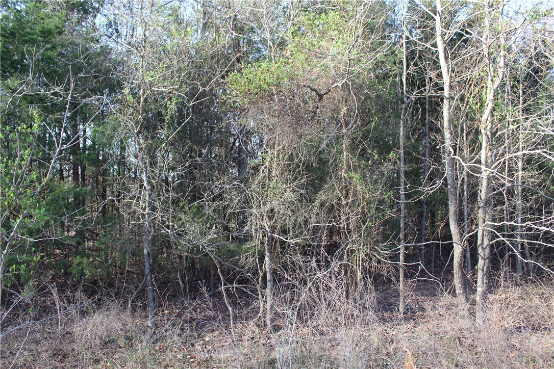 Deerfield - Land