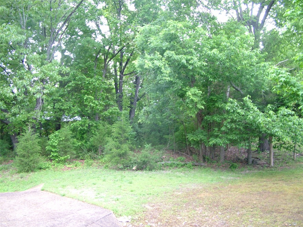 Northern Hills Estates #1 - Land