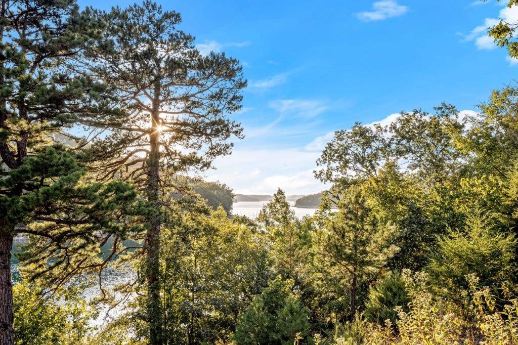 Timber Ridge - Residential