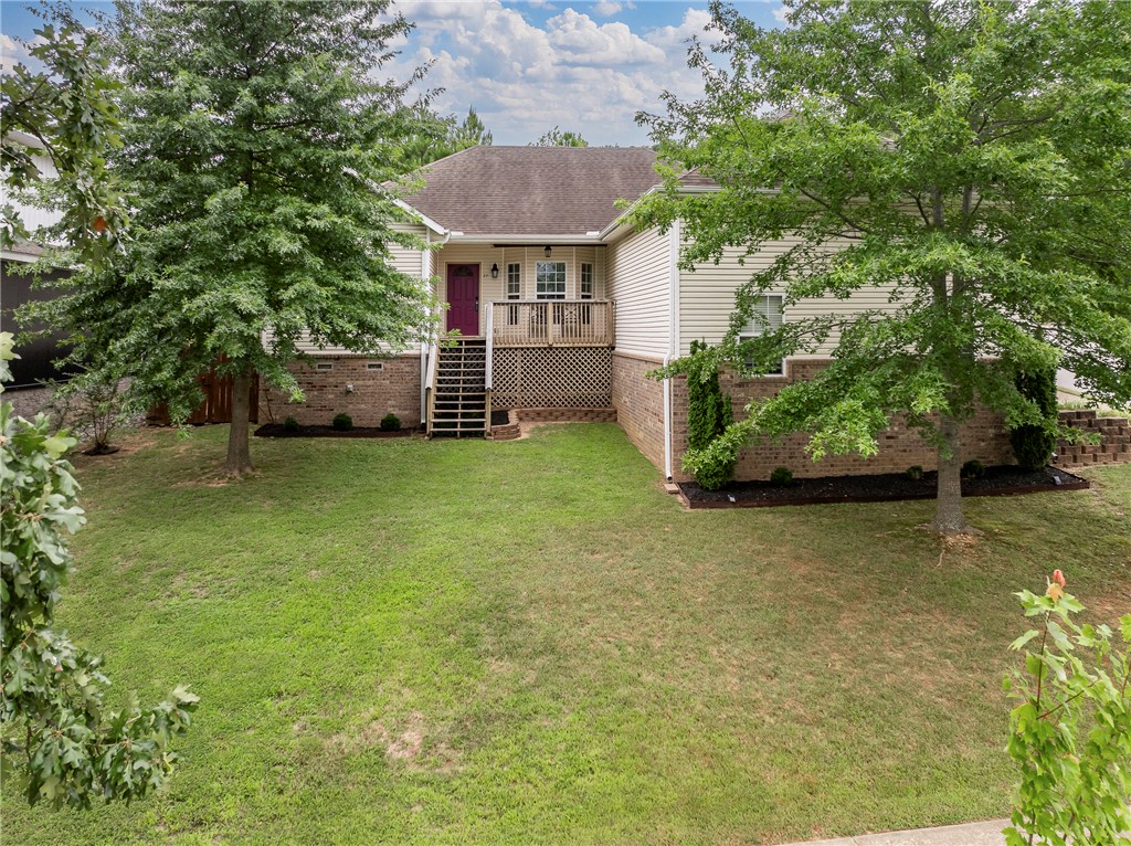 Paddock - Residential