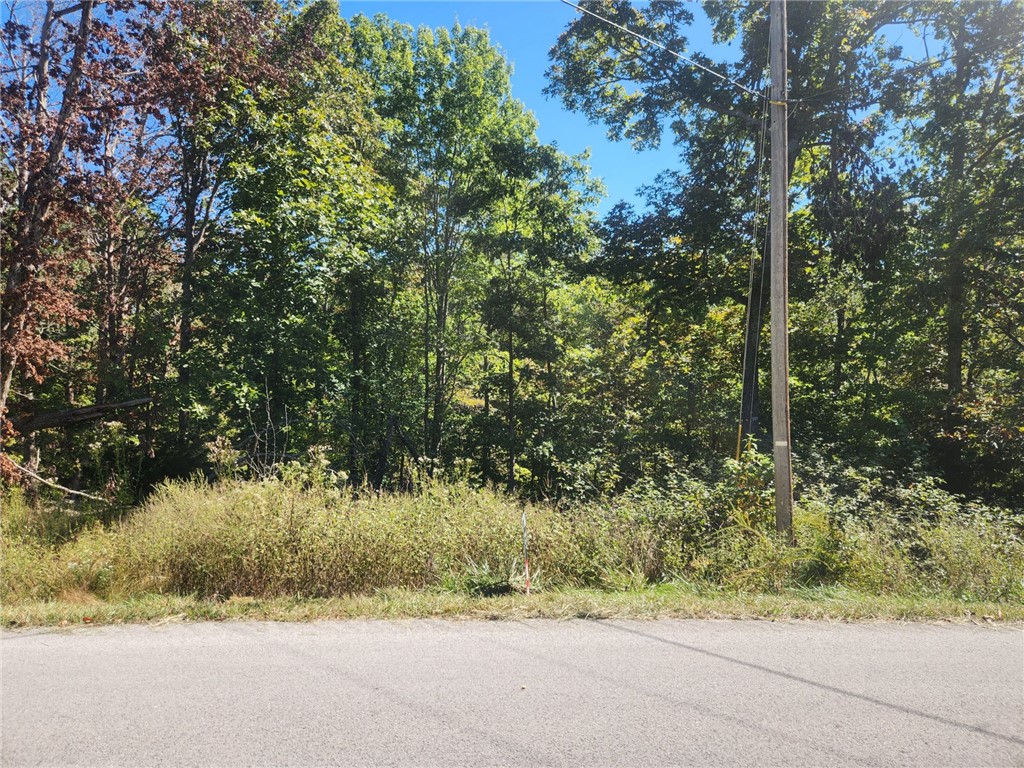 Investment opportunity. The "Pinned" lot in MLS is accurate.  Back on Market Septic challenges (for 3 bedroom) are believed to exist (according to environmental perc company).  Documentation available.  Land is priced accordingly.  The day in the future when buried septic systems are not the only sewage technology available is the day when this lot will pay off handsomely.   Valuable now for membership perks.   1031 tax exchange opportunity.  This is a unique opportunity for anyone wanting access to Bella Vista Amenities and a possible future build site.  All due diligence is recommended to future buyer to evaluate and determine feasibility of building - buyer perc test would be needed. At Buyer Expense.