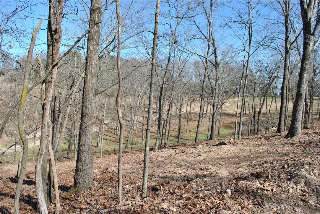Tanglewood Resort 2 Rurban - Land