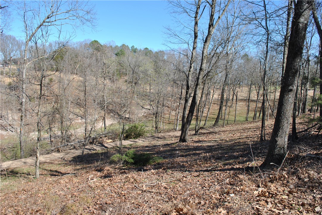 Tanglewood Resort 2 Rurban - Land