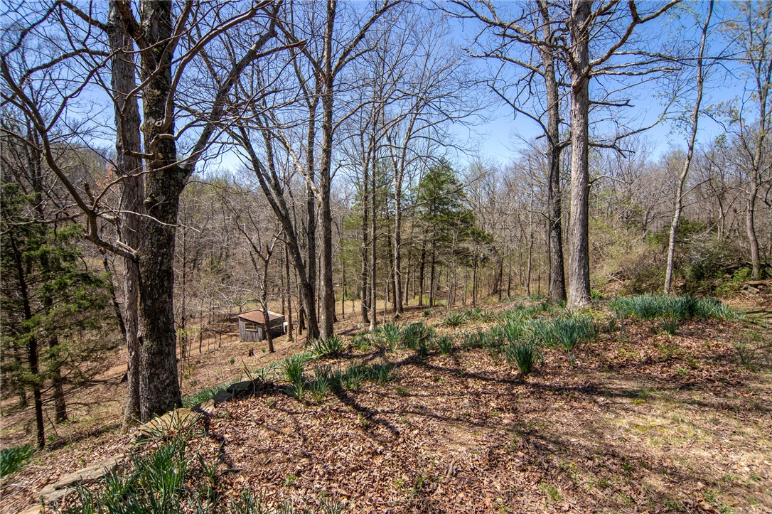 36.5 acres mostly wooded a few acres open.  terraced with room for building or food plots and old roads. old foundation with large root cellar. well with new pump and check valves. electricity on pole close to foundation. 1200 feet of creek running through property, it was down to a trickle last august.  many stacked rock walls. fiber optic available. timber is mostly white oak. on dead end private road. deep pond that needs some work. also a nice hand dug well. half circle drive. many rock outcroppings