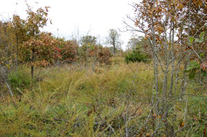 Windy Ridge Estates - Land