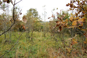 Windy Ridge Estates - Land