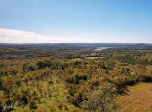 Build your dream home on this approximate 10 acres.  Mostly wooded but has several building spots. With some clearing, this property would have gorgeous lake and surrounding countryside views from the top side off Terry Ln.  Already has a partial lake view.  Bottom lot, Lot 11, fronts MC 2030.  Top lot, Lot 9, fronts Terry Ln which is the easiest access and best views.  Short drive to Hwy 125 marina and Bull Shoals Lake!  All #'s per county records & are approximate.  Electric available.  Well/ Septic needed.