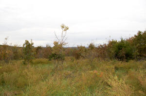 Windy Ridge Estates - Land