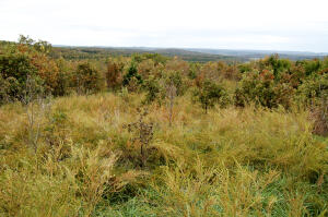 Windy Ridge Estates - Land