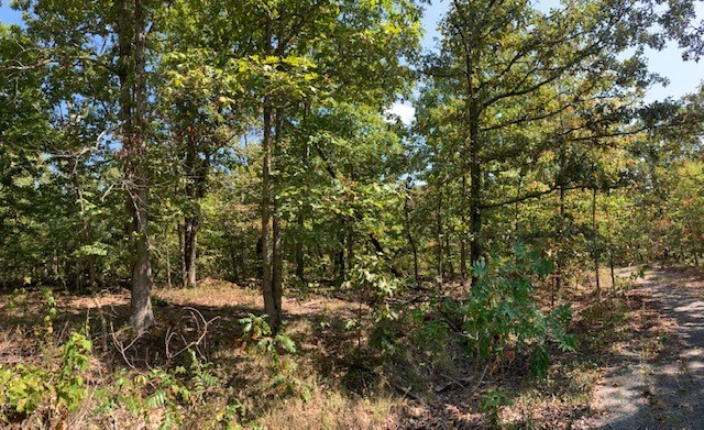 Check out this FLAT piece of wooded land in Bella Vista! This 0.4 of an acre lot is close to trails and in the back end of a neighborhood with very few homes, so there is plenty of privacy. Previously perked for a 3 bed 2 bath in 2019.