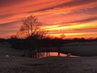 23-20-29-RURAL - Residential