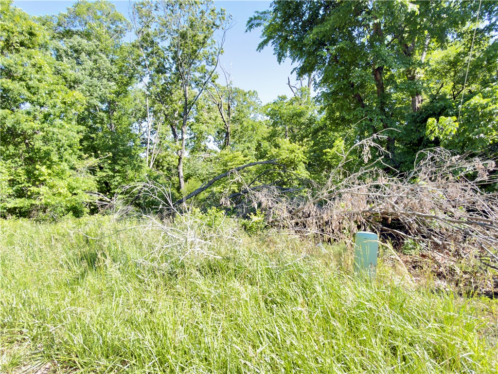 Build your dream home on this 0.39-acre lot tucked at the end of a quiet cul-de-sac in the established Cumberland Subdivision of Bella Vista. This wooded property offers a gently sloped terrain, providing privacy while still being conveniently located near community amenities. Perc test has been completed and indicates suitability for a standard septic system supporting a 3–4 bedroom home giving buyers added confidence as they plan their build. Utilities available at the street. Enjoy the flexibility to design a home that fits your lifestyle—primary residence, second home, or investment. Bella Vista offers incredible amenities including golf courses, lakes, parks, and miles of scenic walking and biking trails, including the nearby Back 40 system. A great opportunity to build in a growing and sought-after community.