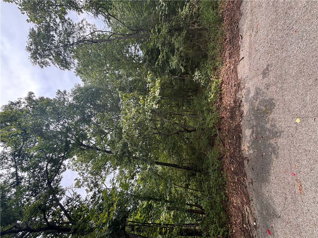 This beautiful 0.54-acre Lot located in the desirable Highlands area of Bella Vista offers a peaceful setting surrounded by the natural beauty of the Ozarks. This oversized property offers a more build-friendly topography featuring areas of level to gently sloping areas that provide excellent potential for your future home. Located just minutes away from Branchwood Recreation Center, you'll enjoy access to a fitness center, indoor pool, pickleball and tennis courts, playground and year-round recreational activities. Golf enthusiasts will appreciate the close proximity to the Highlands Golf Course, while Lake Lomond, Bella Vista's largest recreational lake is just a short drive away. The property is also conveniently located near the Kingsdale access to the renowned Little Sugar Trail System, offering miles of world-class mountain biking trails. With a previous perc test for up to 3 bedrooms as well as a survey available, this Lot offers outstanding opportunity so don't miss the chance to check it out today!