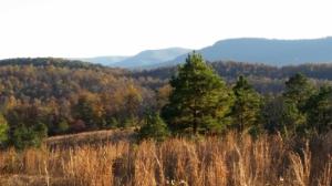Private 98 acres in the Buffalo River Region of Newton County.  Located behind lock gate with large land owners surrounding the property.  Great hunting, large spring, views of the Buffalo River Valley.  Owner has dug the basement and started the foundation for a 20x32 cabin.  Well and Electric are on site. Property comes with 37 foot camper with double slide outs.