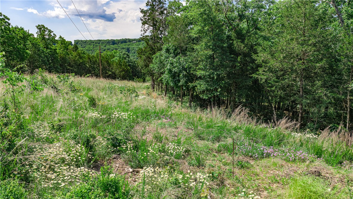 Huckleberry Point - Land