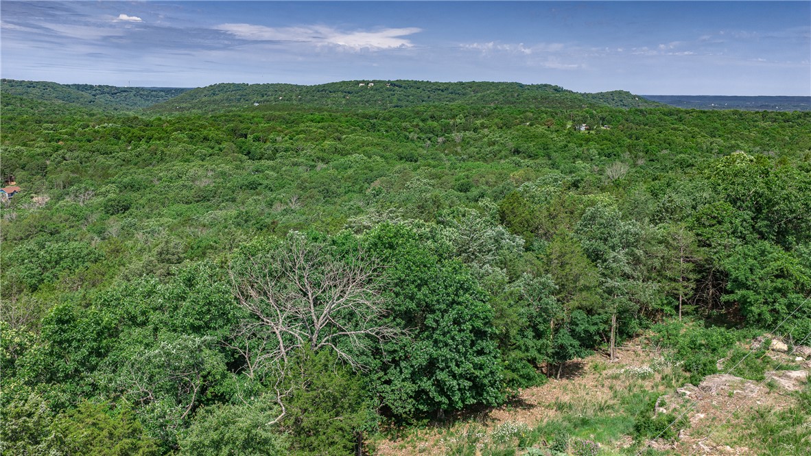 Huckleberry Point - Land