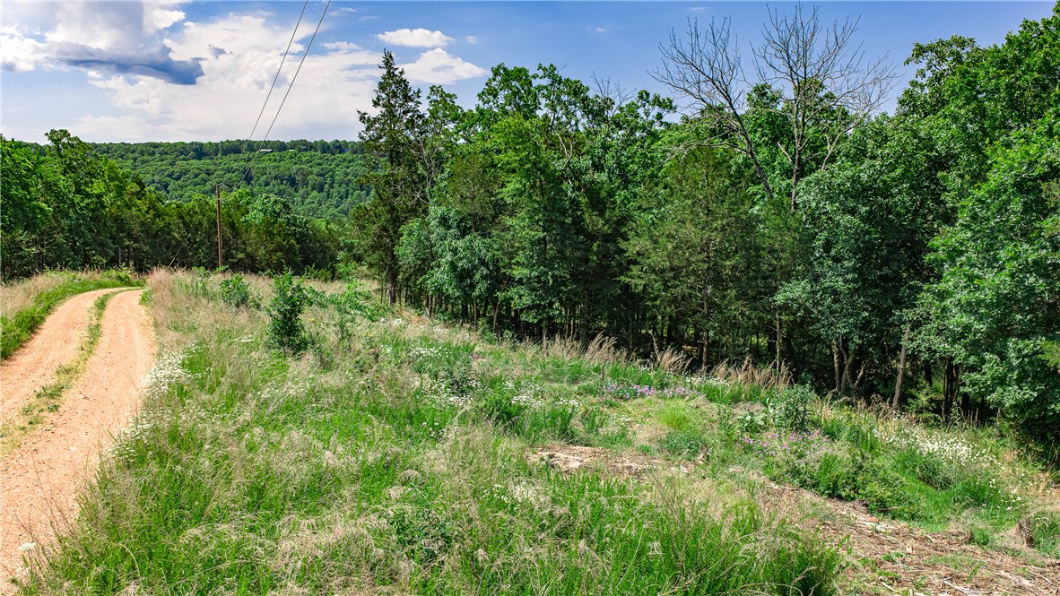 Huckleberry Point - Land