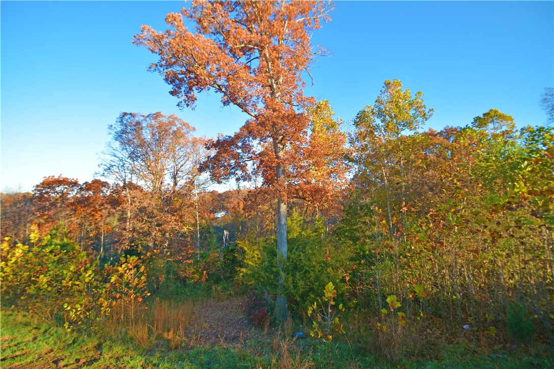 Elm Valley Sub Ph I Elm Spgs - Land