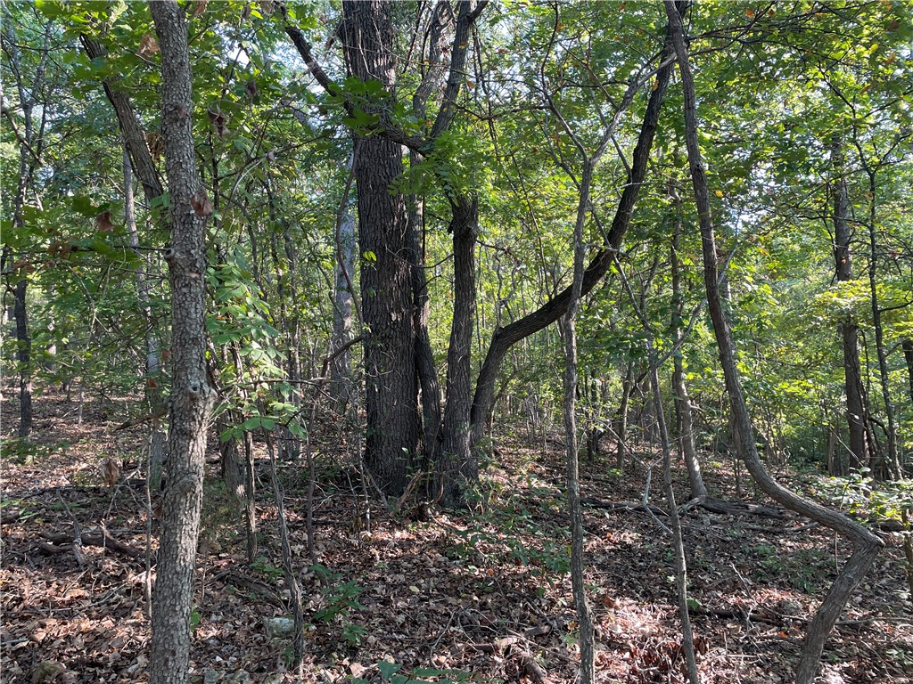 Posy Mountain Ranch Unit 3 Rurban - Land