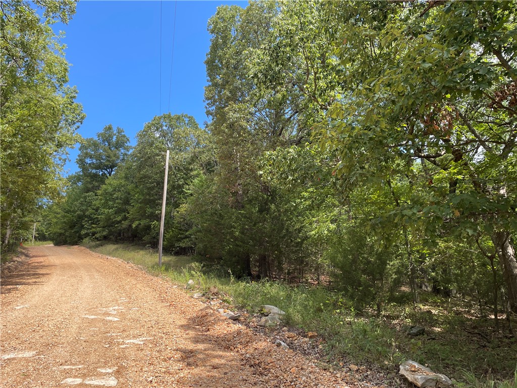 Posy Mountain Ranch Unit 3 Rurban - Land
