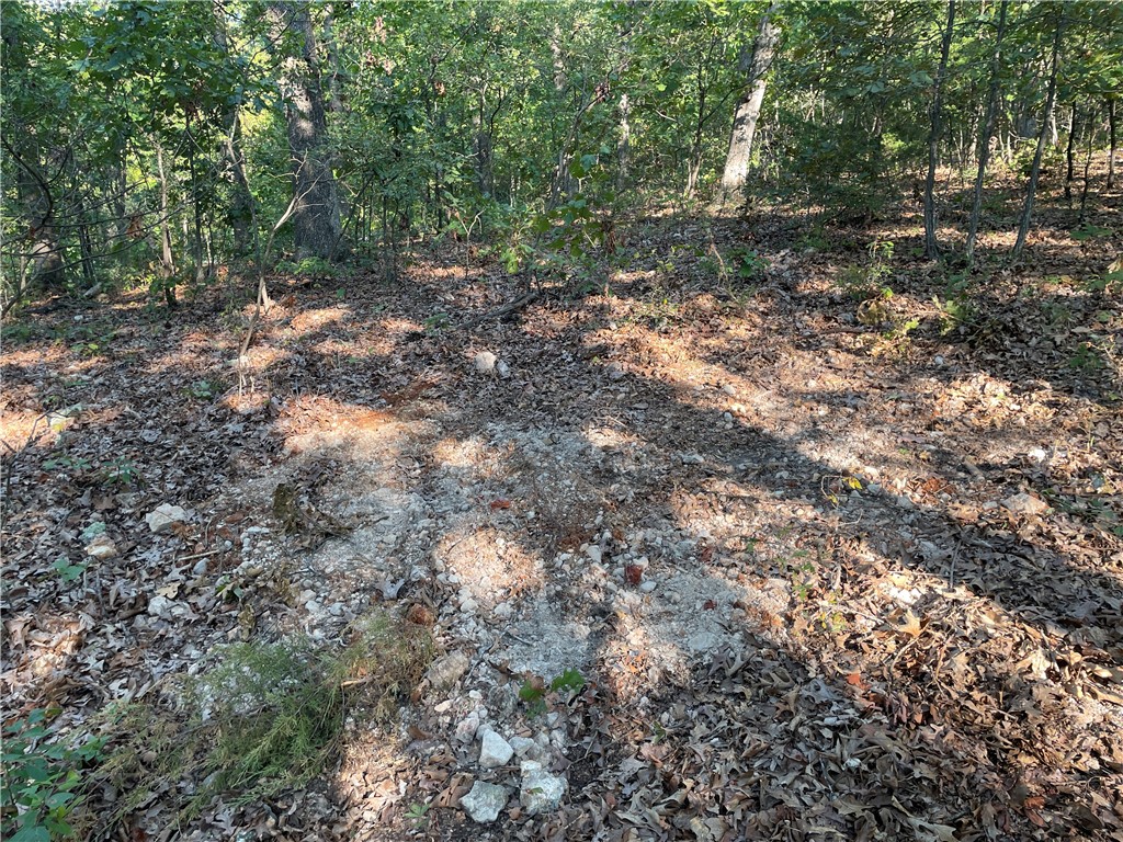 Posy Mountain Ranch Unit 3 Rurban - Land
