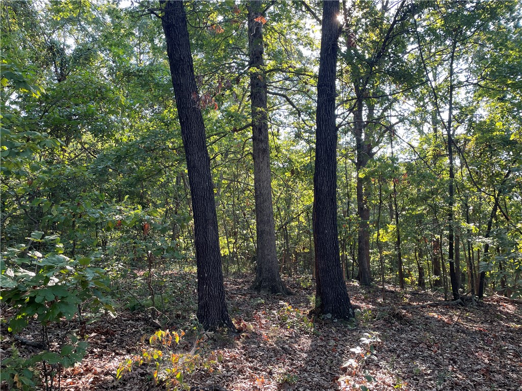 Posy Mountain Ranch Unit 3 Rurban - Land