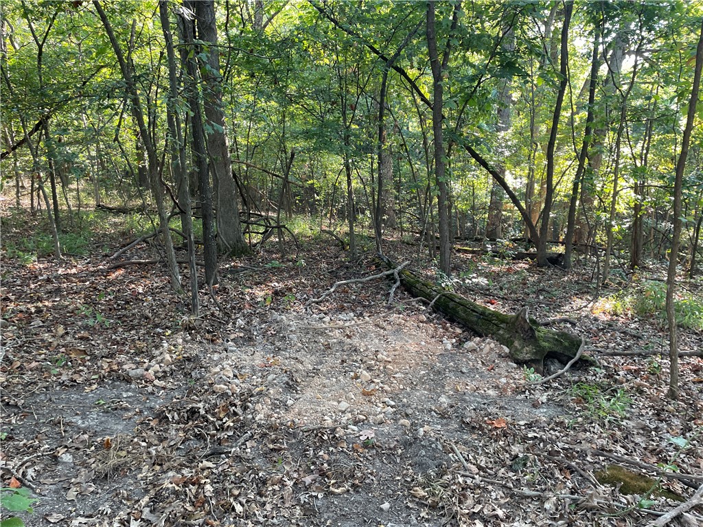 Posy Mountain Ranch Unit 3 Rurban - Land