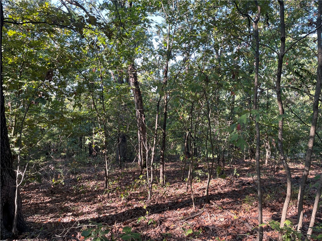 Posy Mountain Ranch Unit 3 Rurban - Land