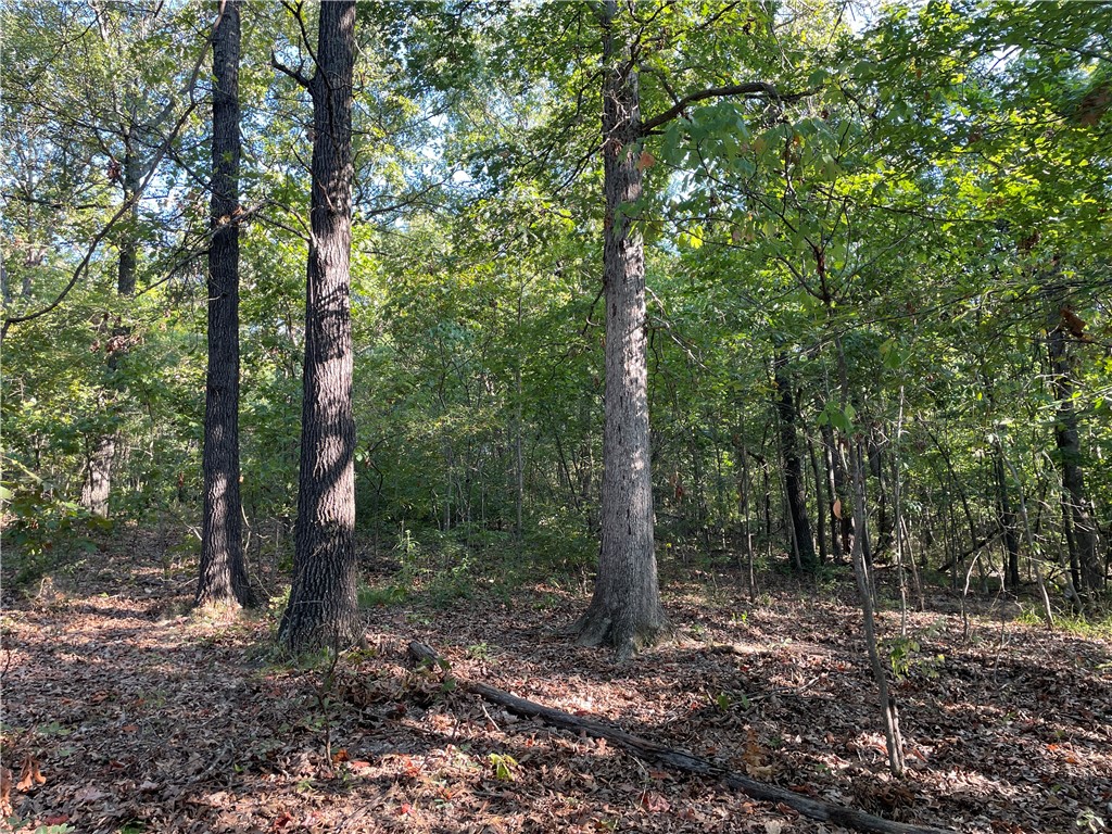 Looking for quiet and close to the lake, then here is a great 5 acres MOL lot.  Not far from public boat launch to Beaver Lake. The wooded acreage offers a serene natural setting, perfect for those looking to enjoy privacy, nature, or even develop a personal retreat. Build a secluded home, cabin or create an eco-friendly space with minimal disruption to the natural environment. Several places to build on this property.  Land has passed perc tests and ready to go.  Possible owner financing available.