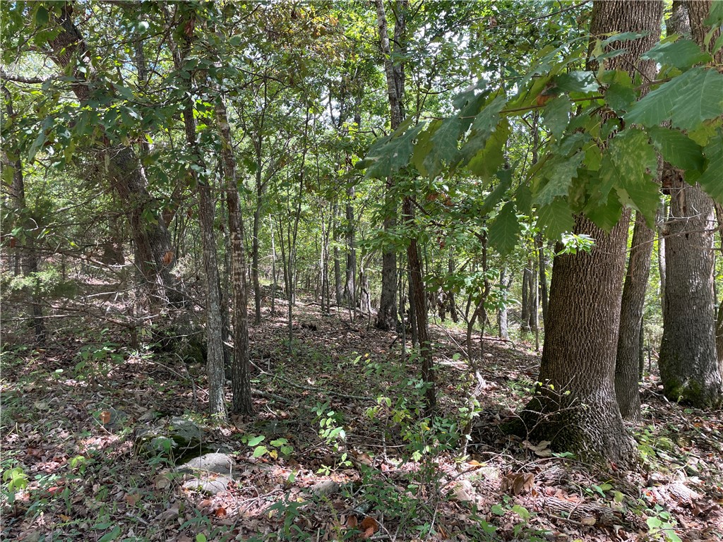 Posy Mountain Ranch Unit 3 Rurban - Land