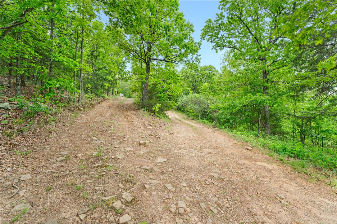 Hickory Hills - Land