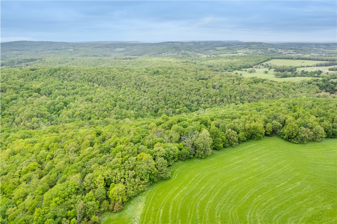 Hickory Hills - Land