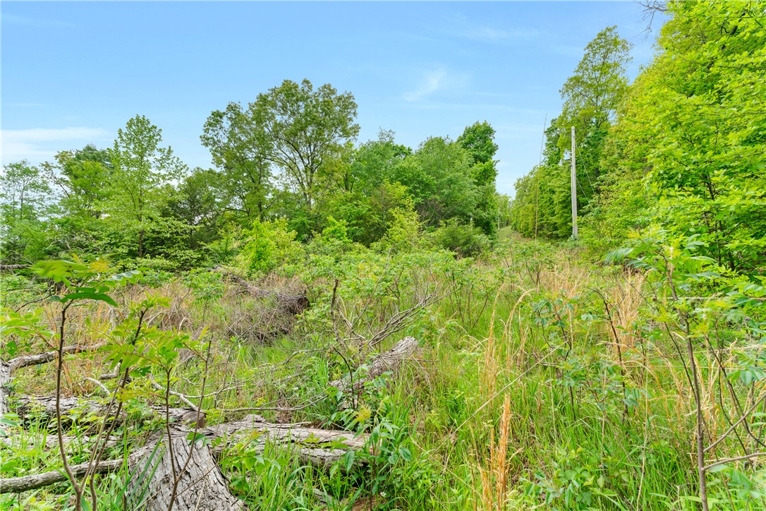 Hickory Hills - Land