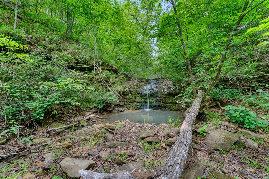 Hickory Hills - Land