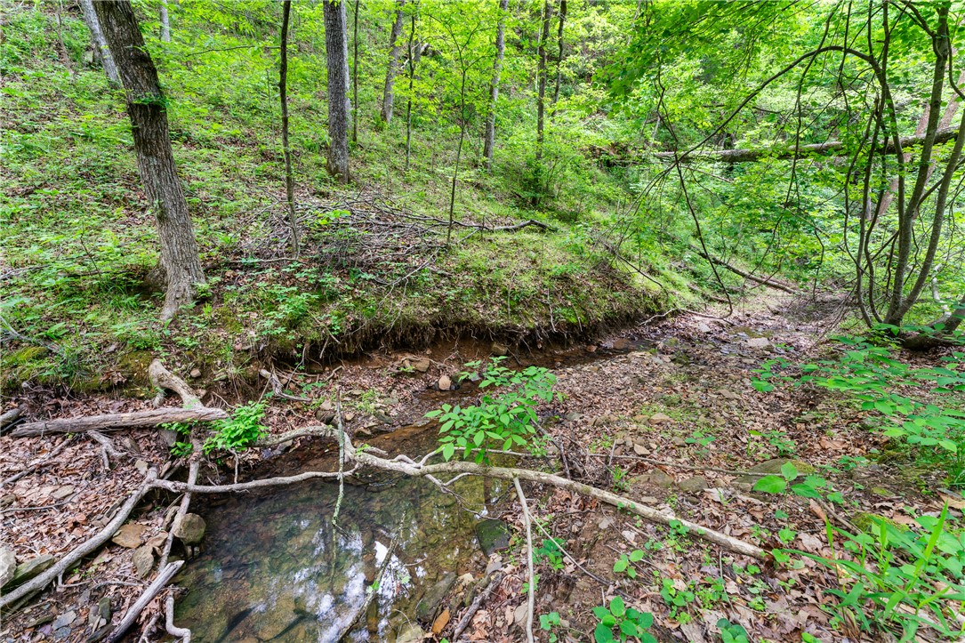 Hickory Hills - Land