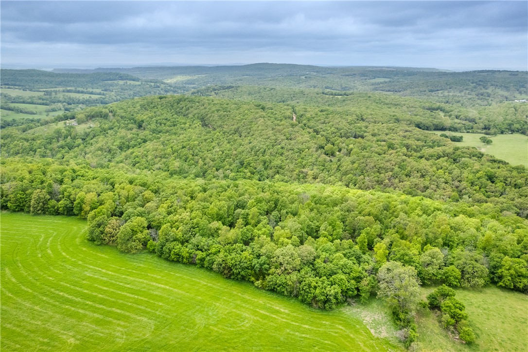 Hickory Hills - Land