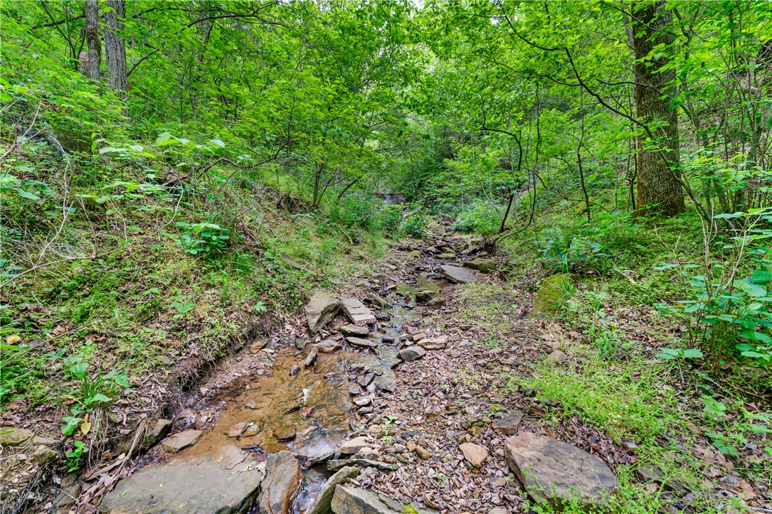 Hickory Hills - Land