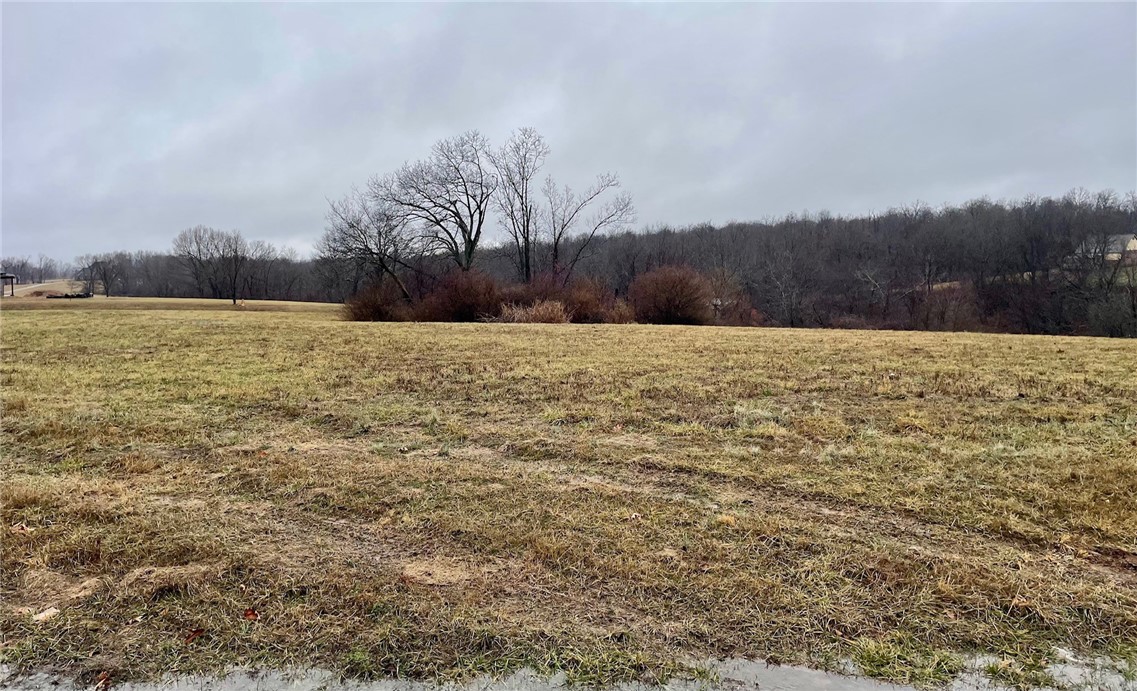 .96 acre lot in a well established subdivision. Close to Siloam Springs. Easy access to XNA & the corridor.