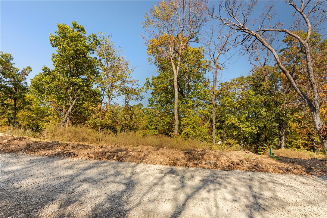 Round Mountain Estates - Land