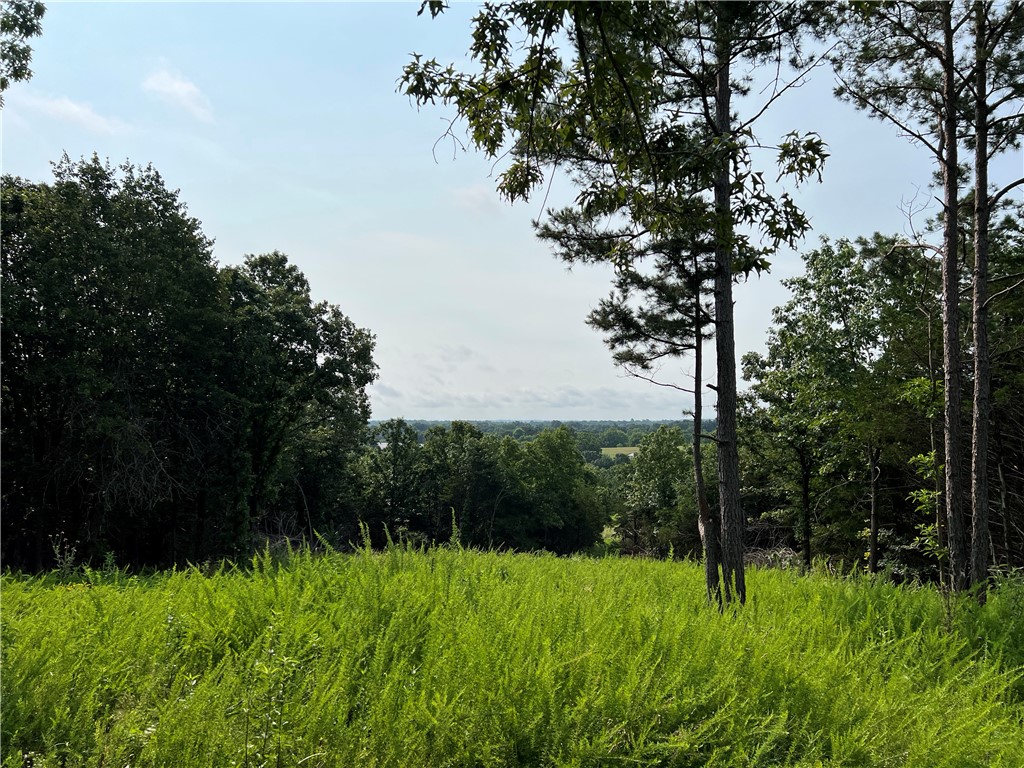 Great location between Harrison and Branson, MO. The 25 Acres M/L would be a great place to build a private home close to town. The land is mostly wooded with several building sites, nice views, great hunting, and small seasonal creek. This is a must see.
