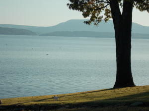 Mill Creek Point - Residential