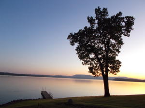 Mill Creek Point - Residential