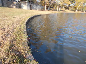 Mill Creek Point - Residential