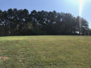 Estates HSN County Club - Land