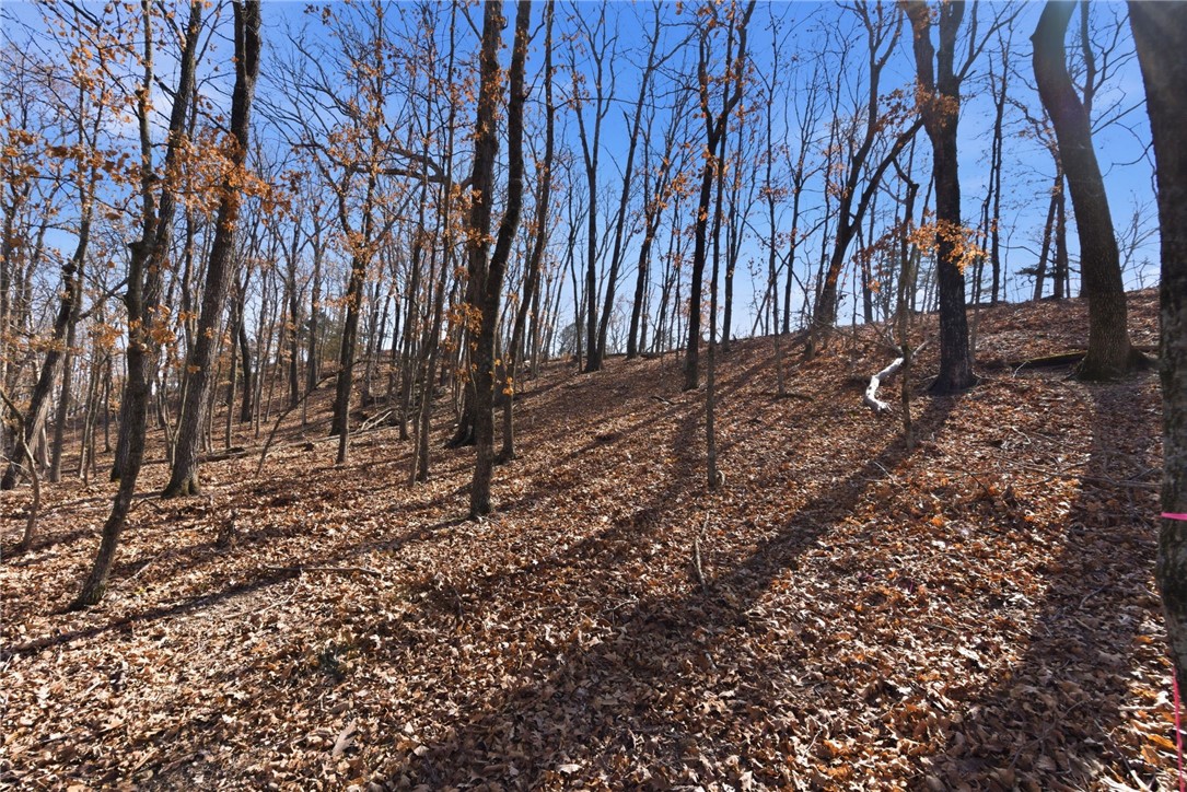 Cedar Acres - Land