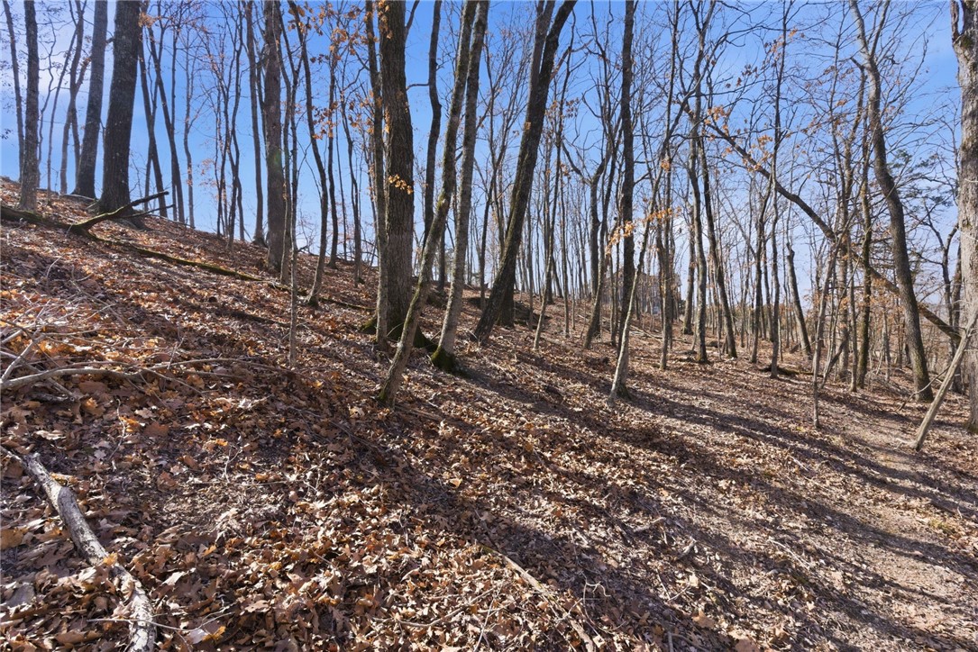Cedar Acres - Land