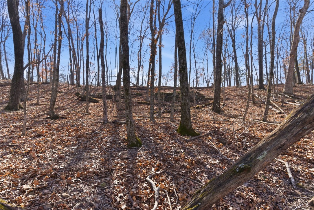 Cedar Acres - Land