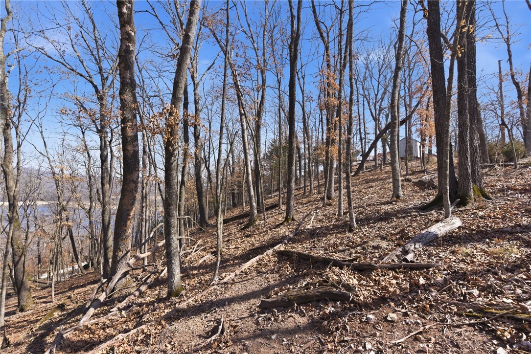 Cedar Acres - Land